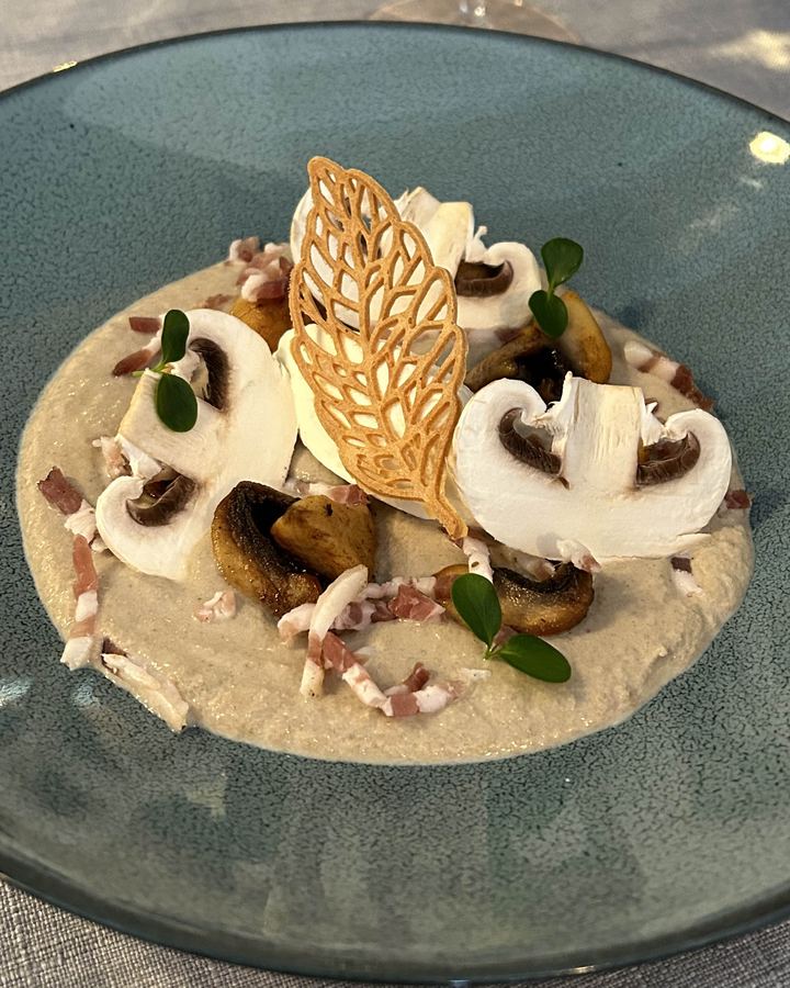 Velouté de champignons et tuile dentelle